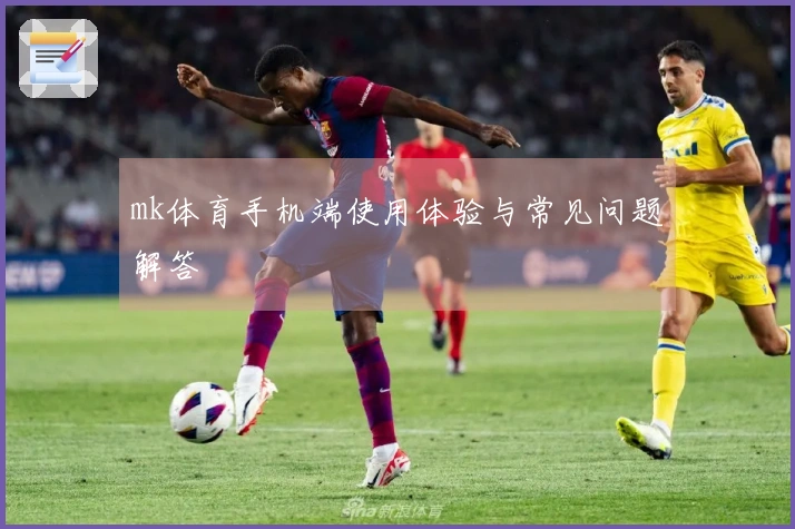 mk体育手机端使用体验与常见问题解答