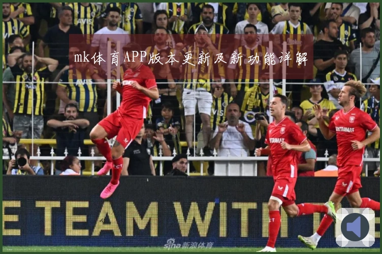 mk体育APP版本更新及新功能详解